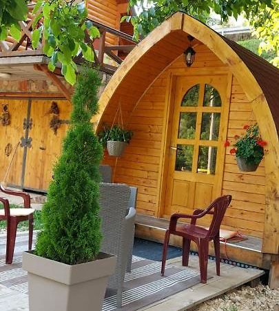 Vila Jelena - Bungalov Crni Vrh Extérieur photo