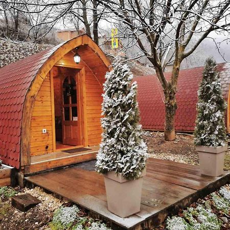 Vila Jelena - Bungalov Crni Vrh Extérieur photo