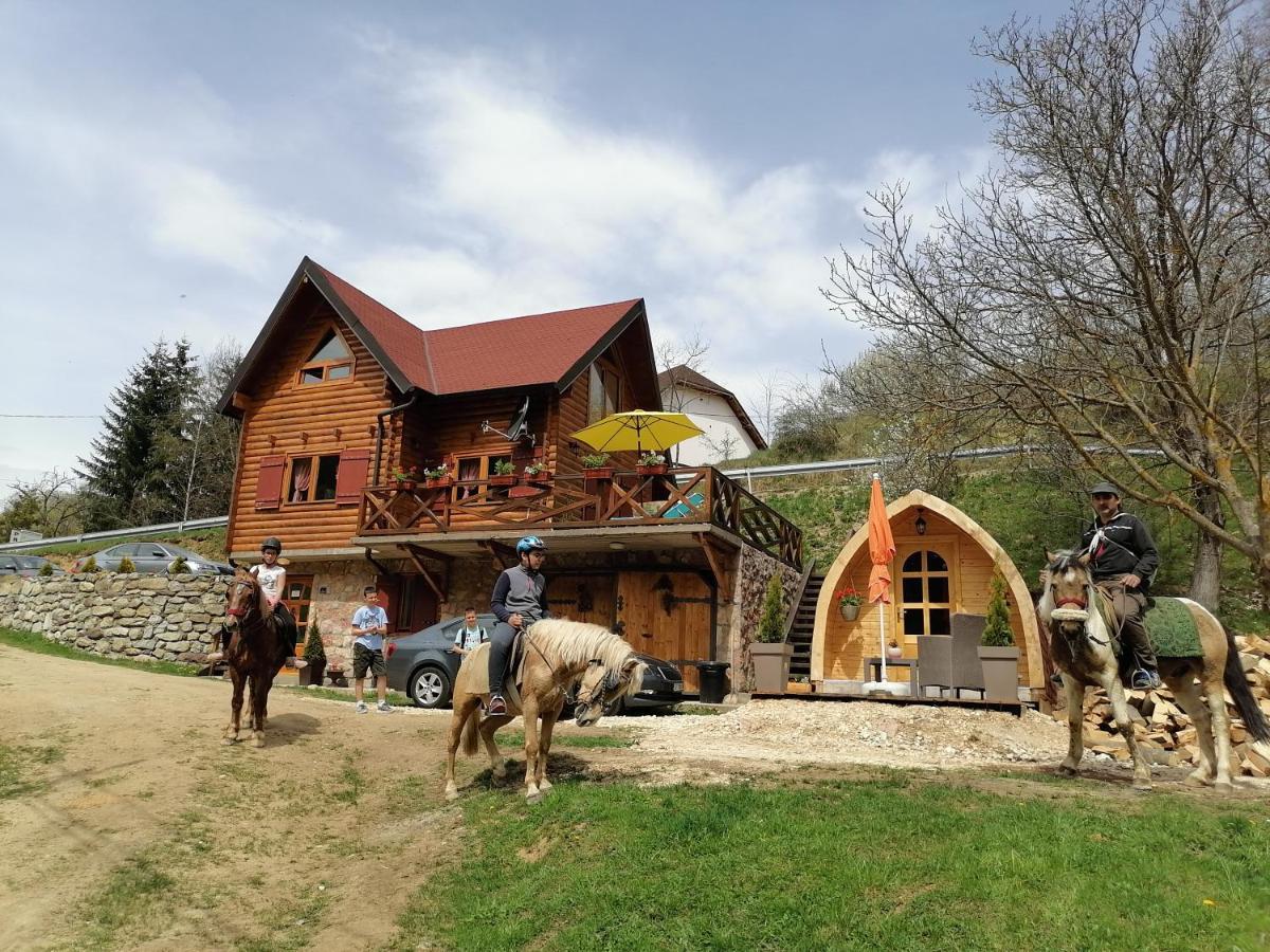Vila Jelena - Bungalov Crni Vrh Extérieur photo